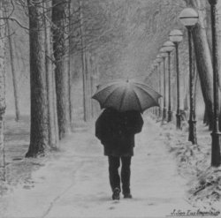 63 de paseo por la quinta en invierno